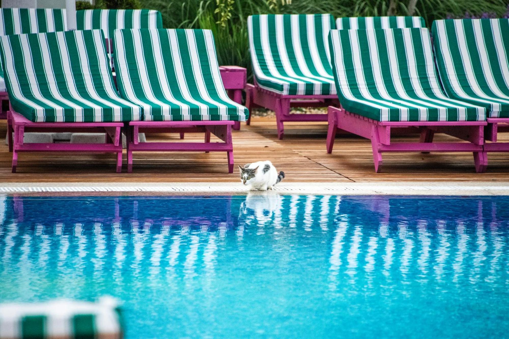 Ibis Styles Venus Hotel Kültér fotó